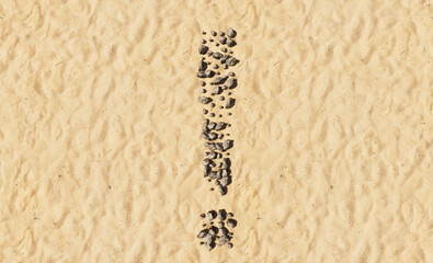 Concept or conceptual stones on beach sand handmade symbol shape, golden sandy background, sign of exclamation mark. 3d illustration metaphor for education, nature, sunny and tropical, summer