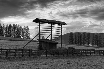 Alte hölzerne Almhütte mit einer Harpfe zum Trocknen von Heu und Getreide auf einer Bergwiese,...