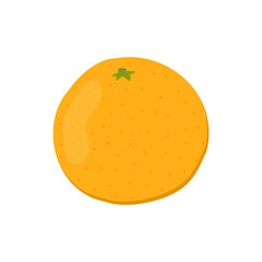 Mandarin. Vector illustration.