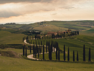 Fototapeta premium tuscany