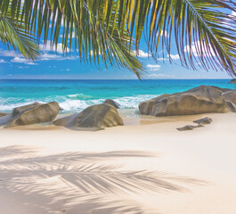 Cocotiers sur plage des Seychelles  - obrazy, fototapety, plakaty