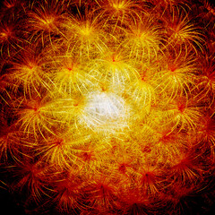 Thorns of cactus texture background with color tone effect.