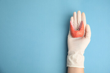 Doctor holding plastic model of healthy thyroid on light blue background, top view. Space for text