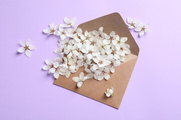 Obraz na płótnie Canvas Envelope with apricot tree flowers on violet background, flat lay