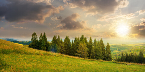 Obraz premium forest on the grassy meadow in mountains at sunset. beautiful countryside landscape in evening light. fluffy clouds on the blue sky above the distant borzhava ridge. summer adventures in carpathians