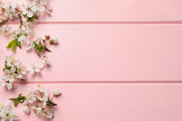 Beautiful spring flowers as border on pink wooden background, flat lay. Space for text