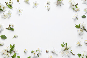 Fototapeta na wymiar Frame of beautiful spring flowers on white background, flat lay. Space for text