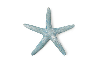 Top view green blue starfish on isolated white background