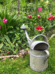 watering can and flowers