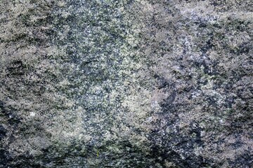 日本の屋外の岩の壁のクローズアップ。背景素材用。