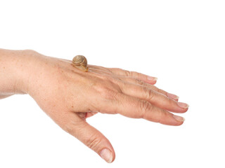 The snail sits on a woman's hand. Cosmetic product made from mucin snail mucus. Rejuvenation. Isolated.