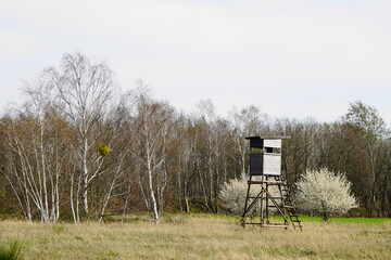 Frühling in Pritzen, Brandenburg