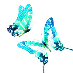 blue sky natural beautiful butterfly flying open black wings spring watercolor abstract on white.