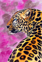 Watercolor illustration of a golden yellow with black spots leopard on a bright purple background