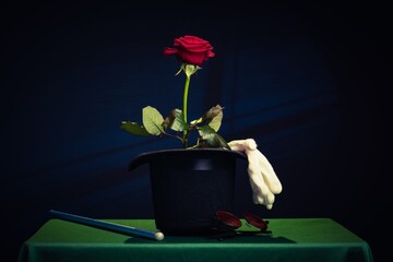 Magic magician hat, red rose. cloth mystery