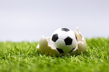 Soccer ball is in egg shell for Easter Holiday are on green grass