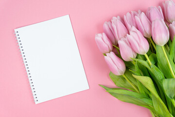 Pink tulips on a pink background with a white notepad. Birthday. Happy woman's day. Mothers Day. Valentine's Day. Easter. Flat lay, top view, copy space. 