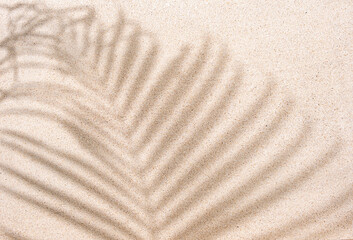 Fototapeta na wymiar Tropical palm leaf shadow on sand background, copy space, top view