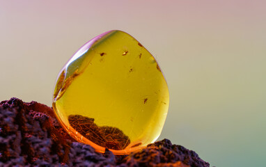 Amber made of yellow transparent fossil resin with insect inclusions photographed in the studio