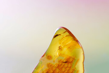 Amber made of yellow transparent fossil resin with insect inclusions photographed in the studio