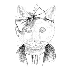 Hand drawn portrait of funny Cat with accessories