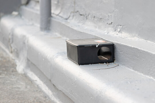 A black plastic rat trap on concrete floor. bait poison box for rat.