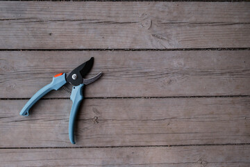 Gardener pruner with blue handles on a wooden floor. A tool for pruning branches