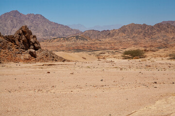 sand dunes in the desert