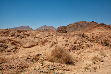 landscape in the desert