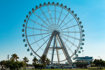 ferris wheel in the park