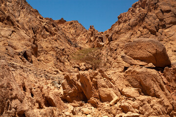 red rock canyon