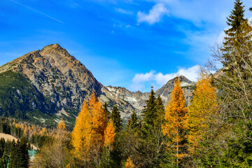 Fototapeta na wymiar Slovakia. High Tatras mountains. Beautiful landscape on a sunny October day