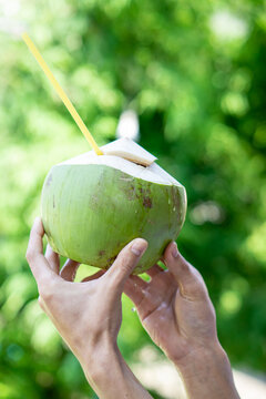 A youg coconut water on hand with garden bokeh background.