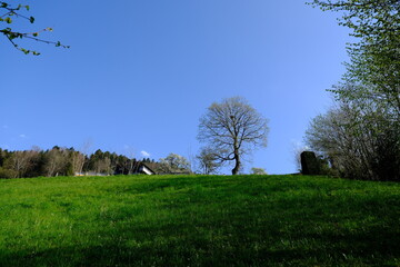 A swiss landscape at Seelisberg in april 2021.