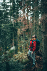 Obraz premium La forêt calme, aucun peuple