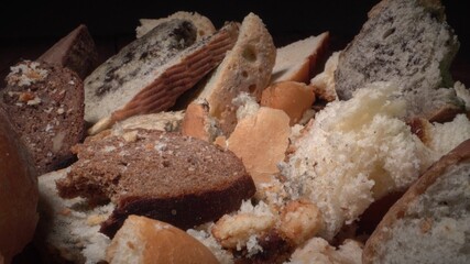 Uneaten wasted bread. Food loss and waste. Food wasting. Discarded moldy bread close up. Growth of toxic black mold