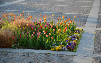 ornamental flower beds on a regular floor plan in the middle of a square made of granite paving. L...