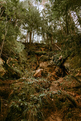 Sandstone formations at Licu and Langu cliffs in Latvia.