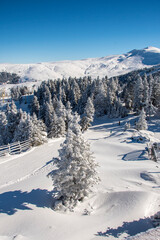 Uludag National Park view in Turkey. Uludag is famous ski resort .