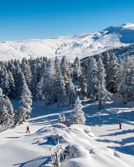 Uludag National Park view in Turkey. Uludag is famous ski resort .