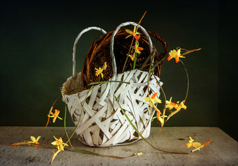 Two wicker baskets with dried daffodil flowers. Vintage. Retro.
