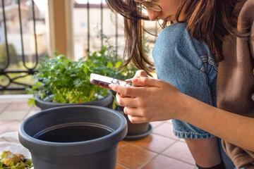 Teenage girl sitting on the terrace with a smartphone search information on how to change the potting soil for the kitchen plants: parsley, sage, rosemary