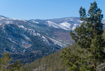 Mountain landscape with snowy peaks in the distance and green coniferous forest in the foreground.