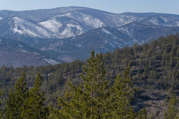 Mountain landscape with snowy peaks in the distance and green coniferous forest in the foreground. It was filmed in the mountains of the Zainraevsky district of the Republic of Buryatia.