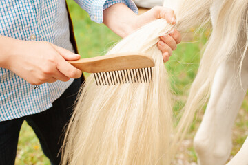 beautiful woman combs the horse's hair. A ponytail and a mane comb. Love, care pet, friendship, cleanliness. Nature outside the door, green grass, spring. grooming wooden © Valeriia