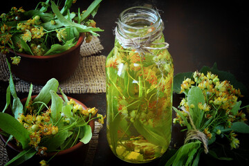 A fragrant lime drink. Linden leaves. Linden harvest.