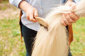 beautiful woman combs the horse's hair. A ponytail and a mane comb. Love, care pet, friendship,...