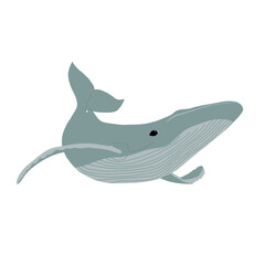 Whale. Ocean animal. Vector illustration.
