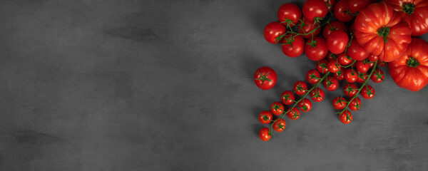 A group of different tomatoes on the vine on grey stone background. Concept for healthy nutrition. Symbolic image. Copy space.