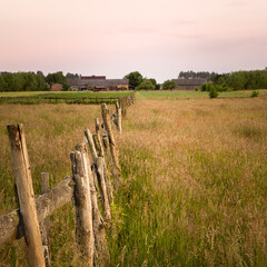 płot na łąkach mazowsza w złotej godzinie © Joanna Tauriel